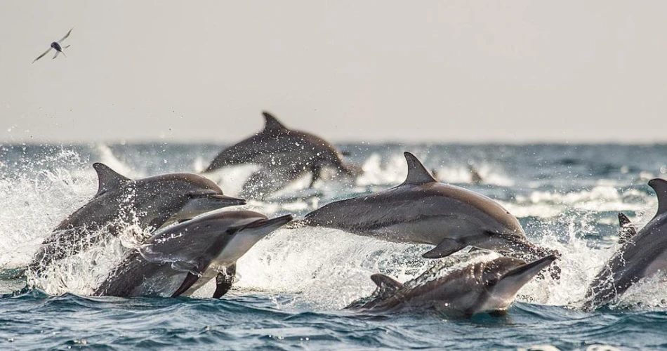 10 Top Places to Visit in Cancun