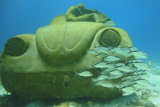 Tour image 4