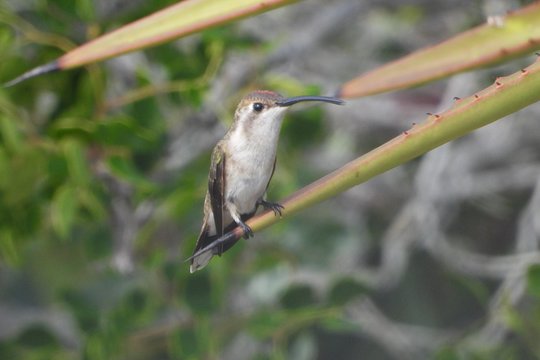 Tour image 13