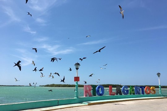 Tour image 8