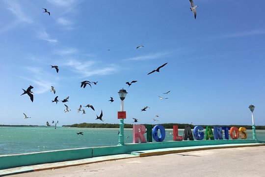 Tour image 5