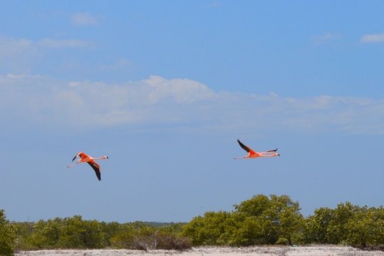 Tour image 7