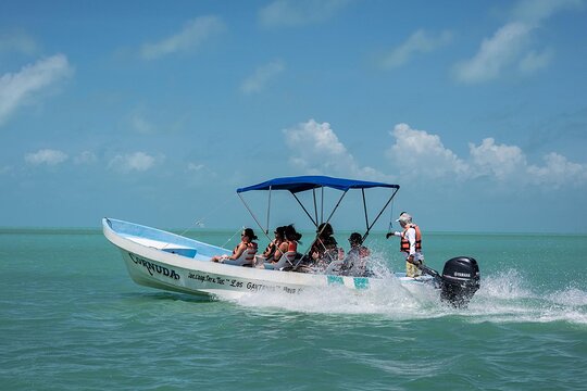 Tour image 5